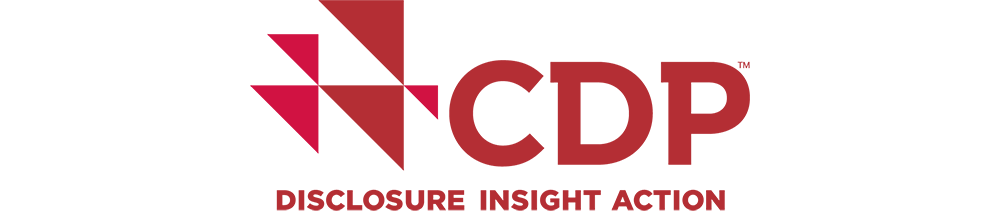 Logo Disclosure Insight Action