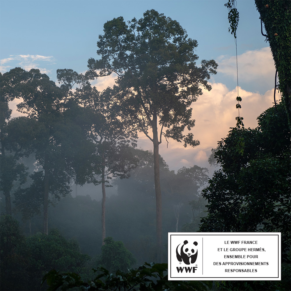 © Chris J Ratcliffe / WWF-UK © Chris J Ratcliffe / WWF-UK
