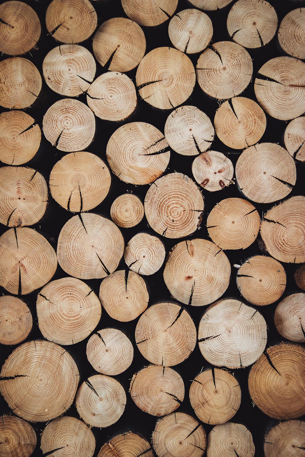 Rondins de bois
